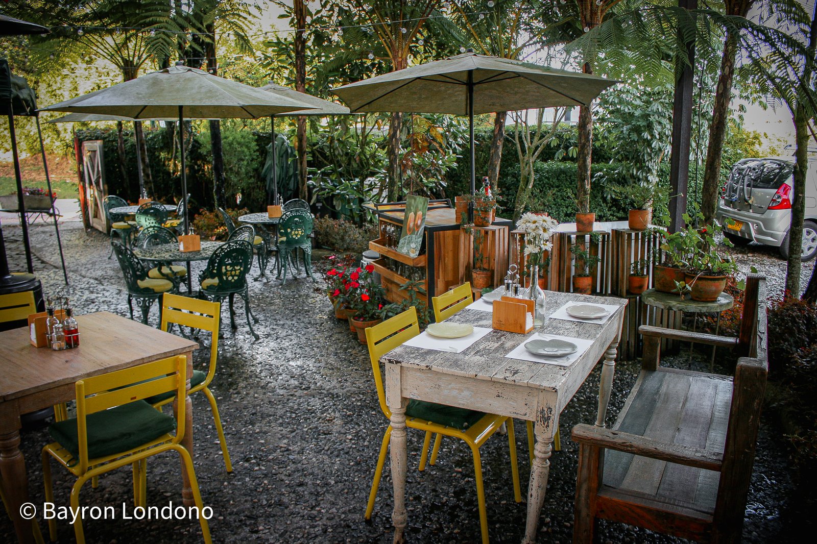 Interior Il Giardino