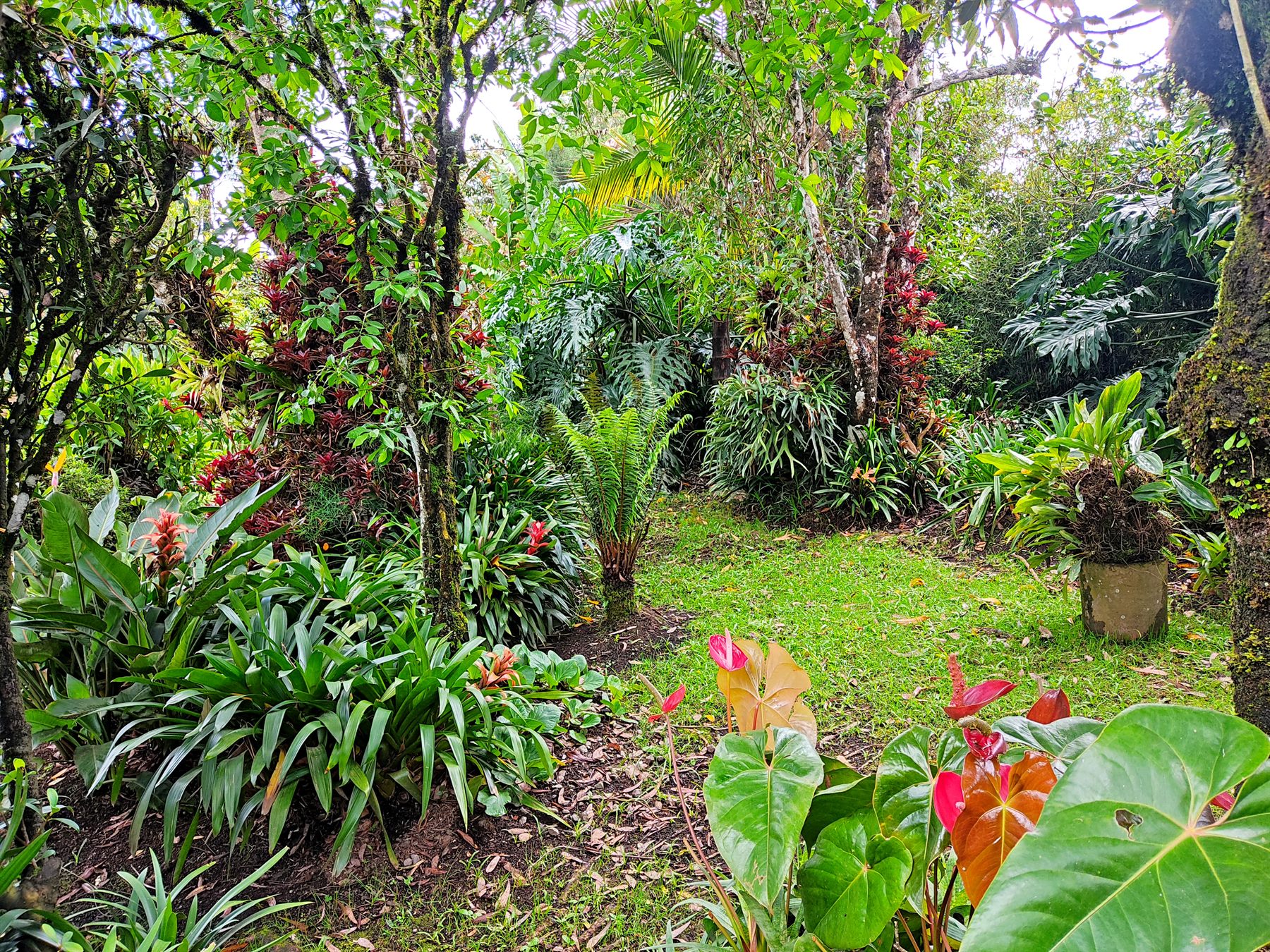 Jardín y deck de la cabaña Prestige entre árboles